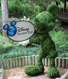 Disney Vacation Club Guide 