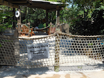 Typhoon Lagoon