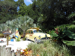 Typhoon Lagoon