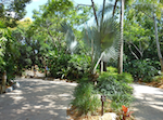 Typhoon Lagoon