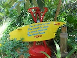 Typhoon Lagoon