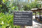 Typhoon Lagoon