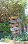 Typhoon Lagoon