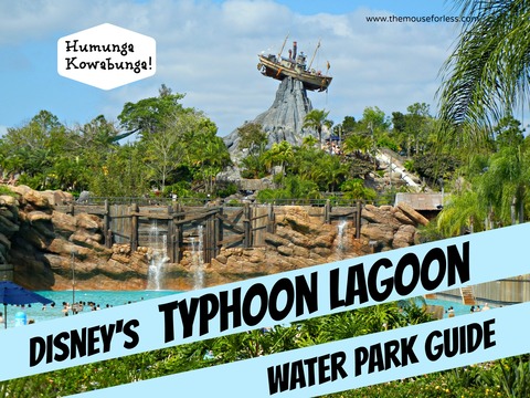 Disney's Typhoon Lagoon Water Park Guide