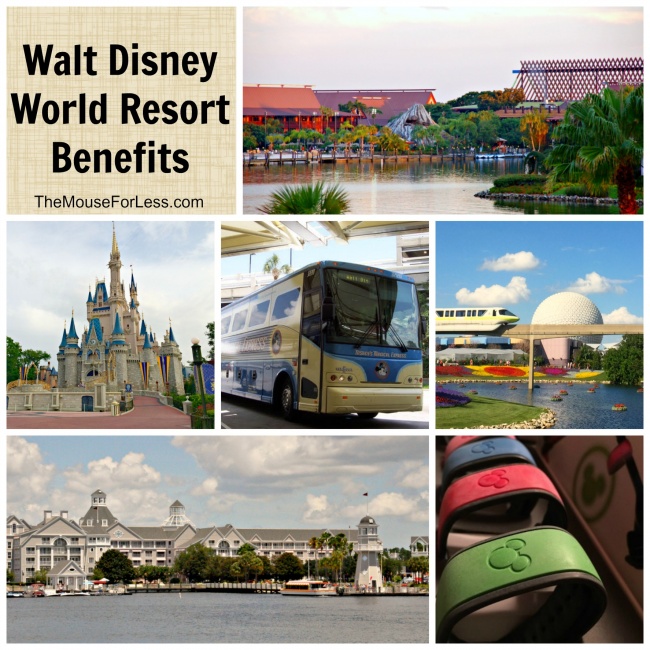 Walt Disney Resort Benefits