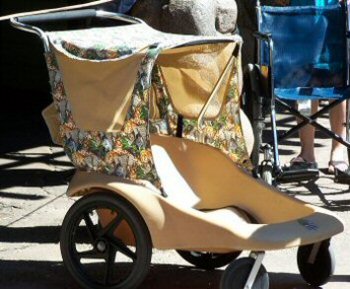 how much does it cost to rent a stroller at disney world