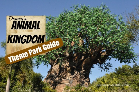 Disney's Animal Kingdom Theme Park Guide and Information #WDW