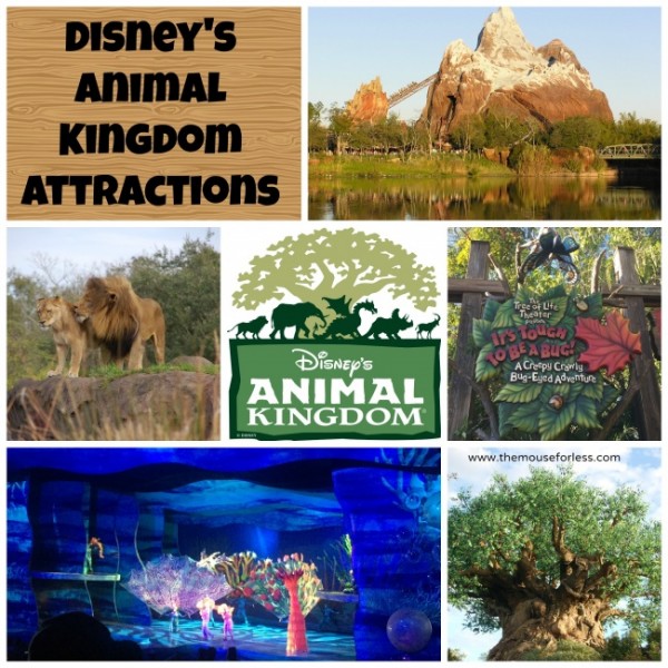 Animal Kingdom Theme Park Attractions