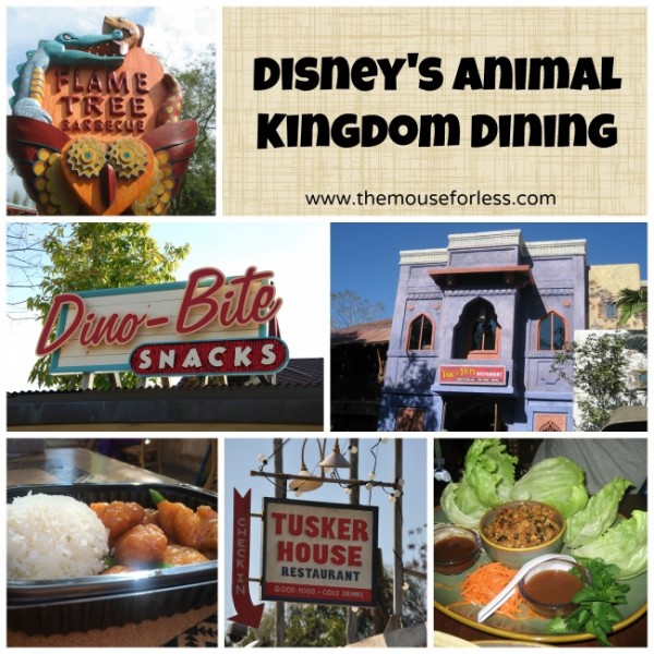 Disney's Animal Kingdom Theme Park dining