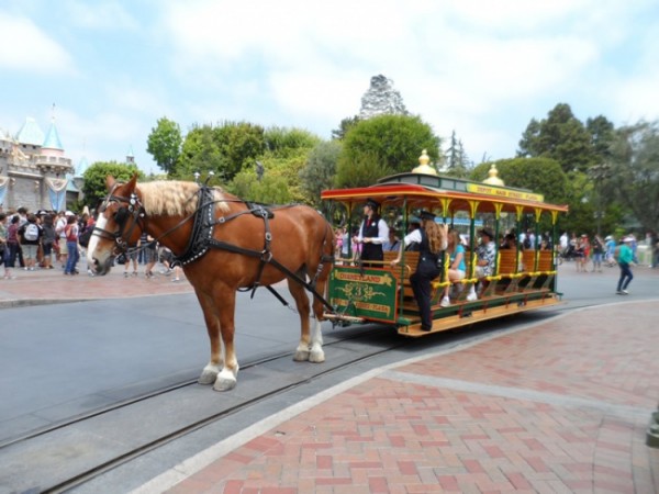 Horse Drawn Street Car