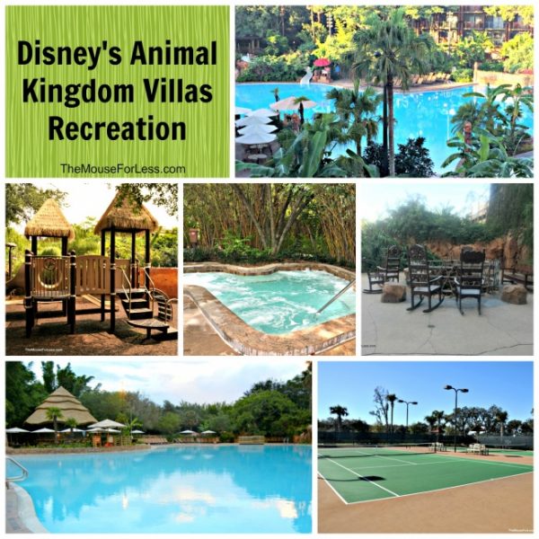 Disney's Animal Kingdom Villas Guide Walt Disney World