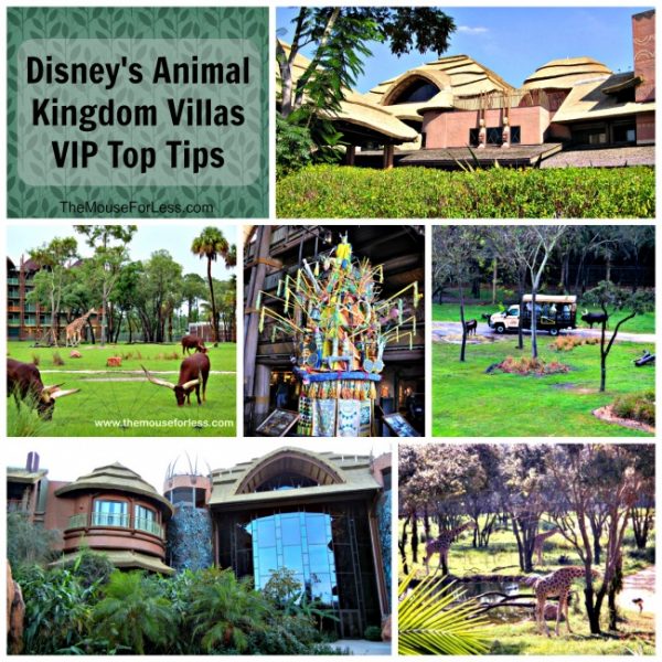 Disney's Animal Kingdom Villas Guide Walt Disney World