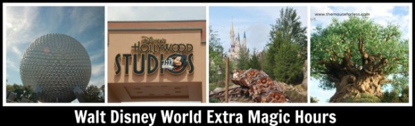 Walt Disney World Extra Magic Hours Information