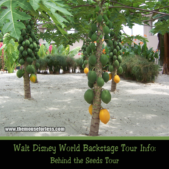 Behind the Seeds Tour at Epcot