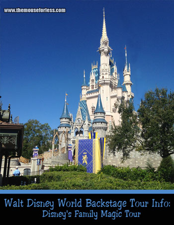 Disney's Family Magic Tour