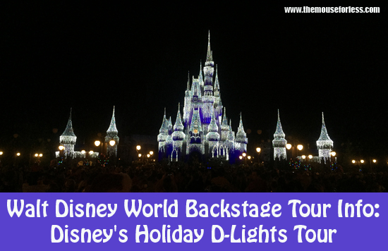 disneys-holiday-d-lights-tour
