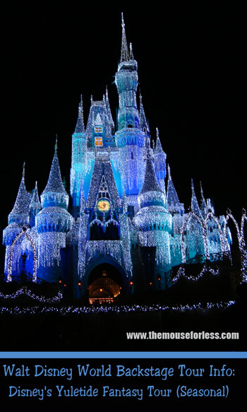 Disney's Yuletide Fantasy Tour