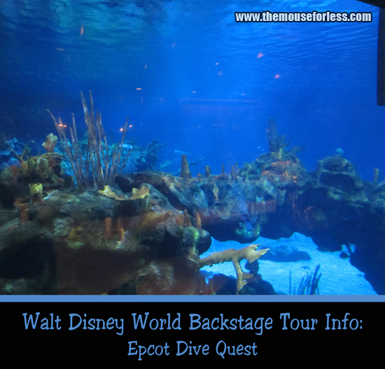 Epcot Dive Quest Experience at Walt Disney World's Epcot Theme Park