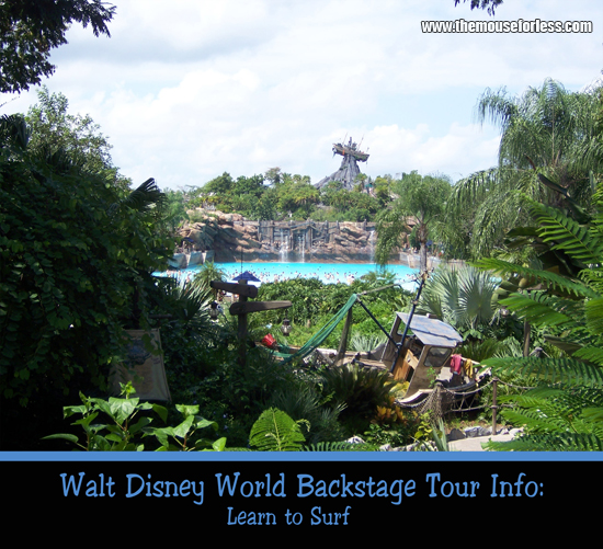 Learn to Surf Experience at Walt Disney World's Typhoon Lagoon water park