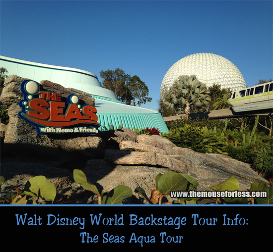 The Seas Aqua Tour at Walt Disney World's Epcot Theme Park