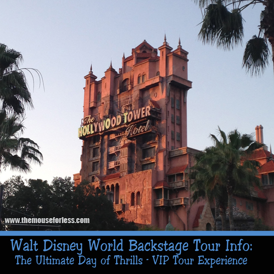The Ultimate Day of Thrills - a VIP Tour Experience at Walt Disney World Resort