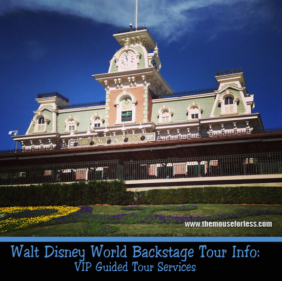 VIP Guided Tour Services
