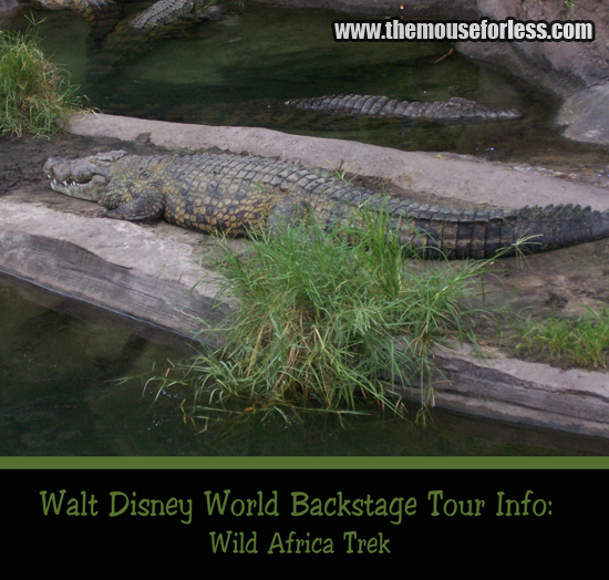 Disney's Wild Africa Trek