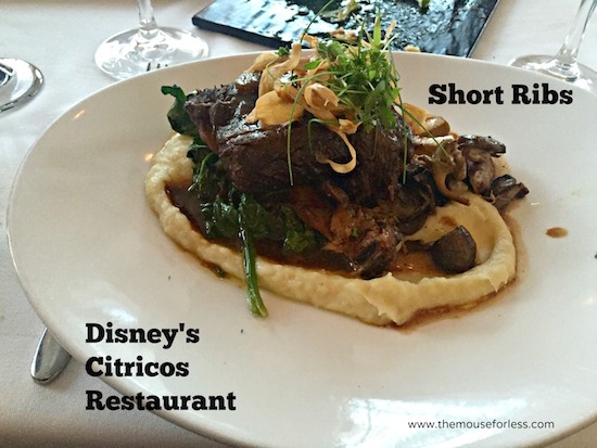 Beef Short Ribs at Citricos at Disney's Grand Floridian #DisneyDining #GrandFloridian