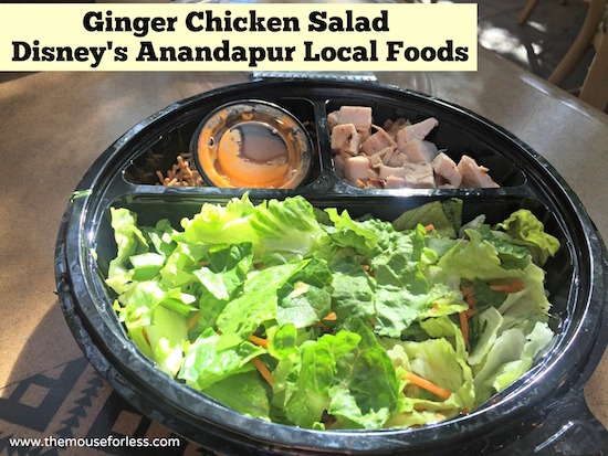 Ginger Chicken Salad at Anandapur Local Foods Cafe Counter Service at Disney's Animal Kingdom #WaltDisneyWorld #AnimalKingdom