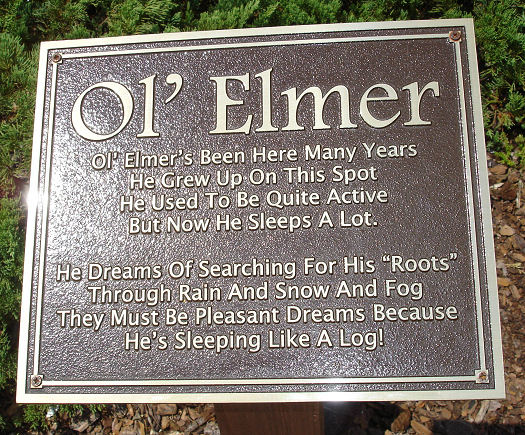 Give Kids The World Village Photo Ol Elmer sign