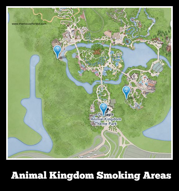 Walt Disney World Designated Smoking Areas in the Theme Parks