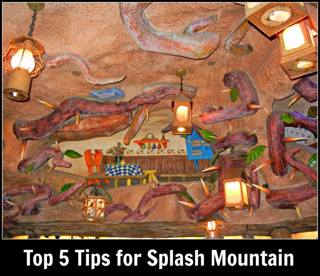 splash mountain figurines