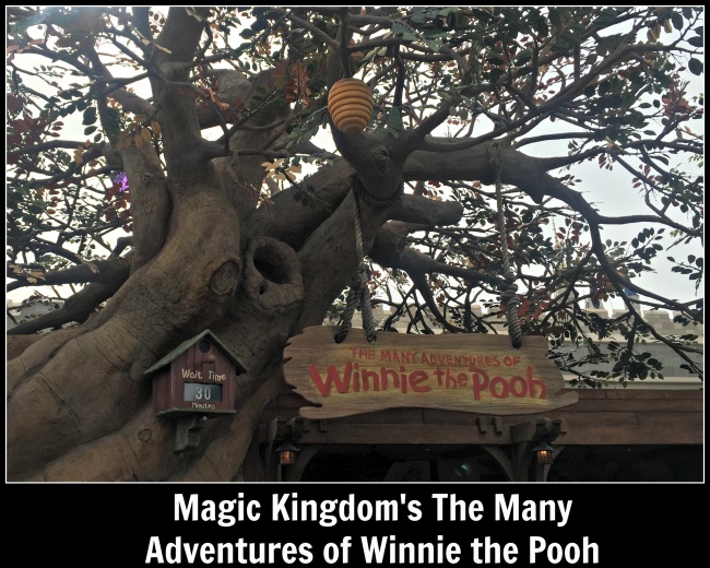 The Many Adventures of Winnie the Pooh