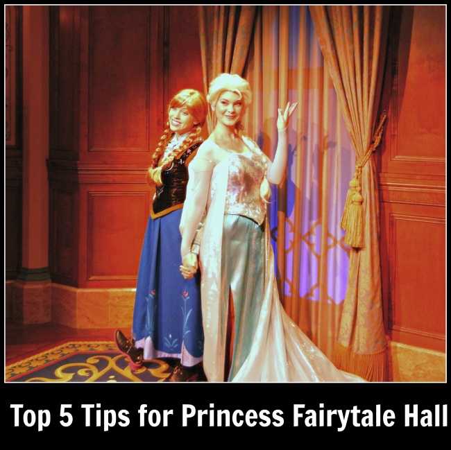 top 5 Princess Fairytale Hall