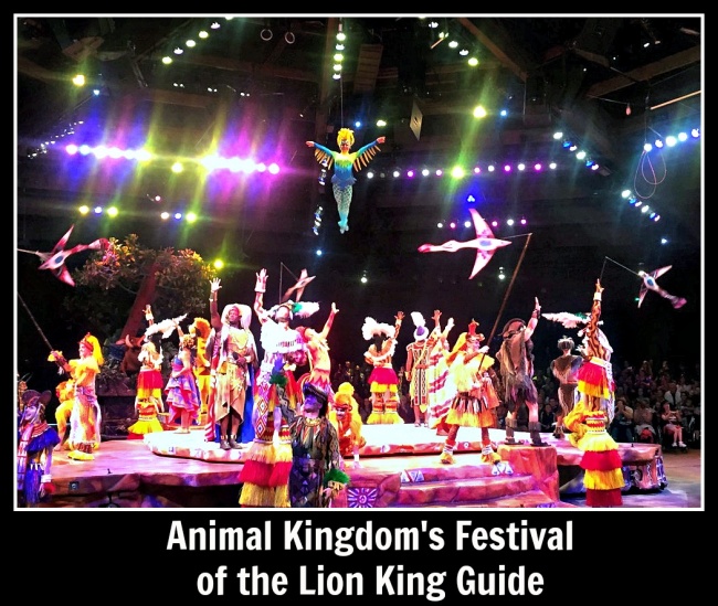 Festival of the Lion King Guide