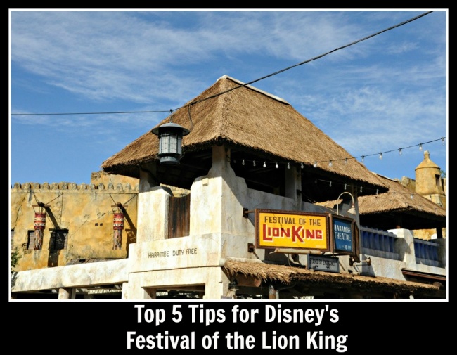 Top 5 Festival of the Lion King