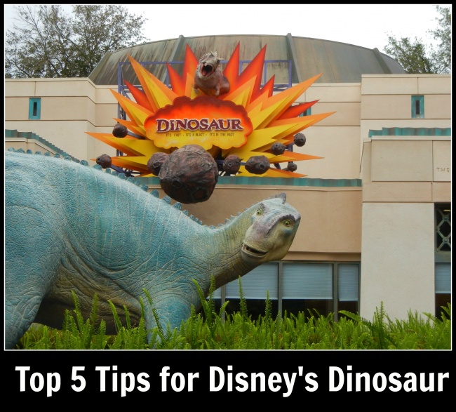 Top 5 Dinosaur Dinoland Tips