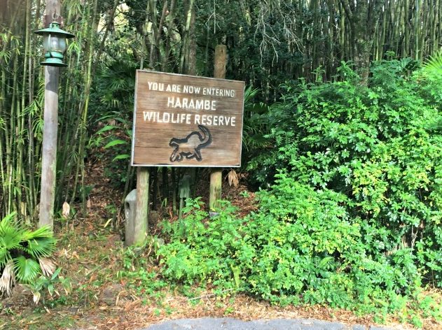 Kilimanjaro Safari