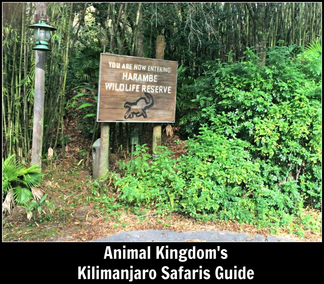 Kilimanjaro Safaris - Africa - Disney's Animal Kingdom Kilimanjaro Safaris - Africa - Disney's Animal Kingdom