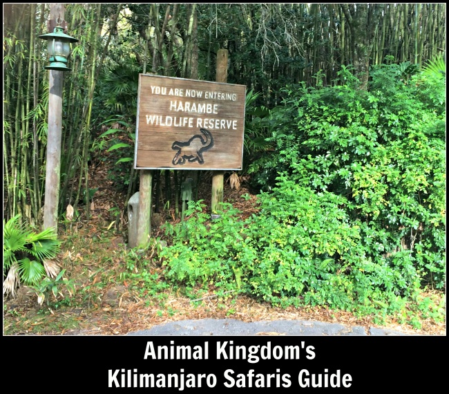 Kilimanjaro Safari