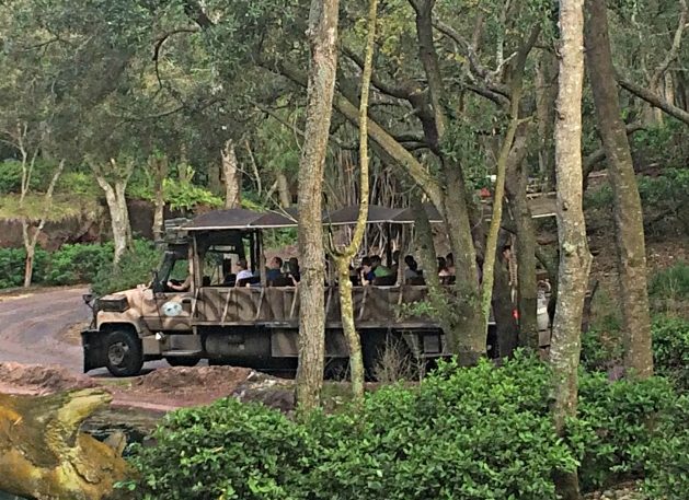 Top 5 Kilimanjaro Safari