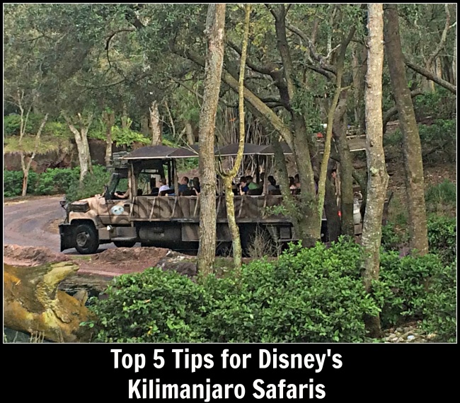 Top 5 Kilimanjaro Safari