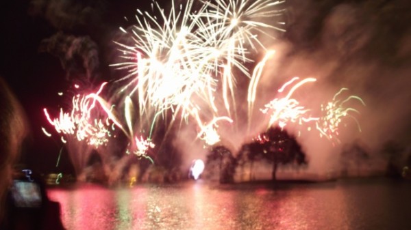 Watching Fireworks Outside the Parks