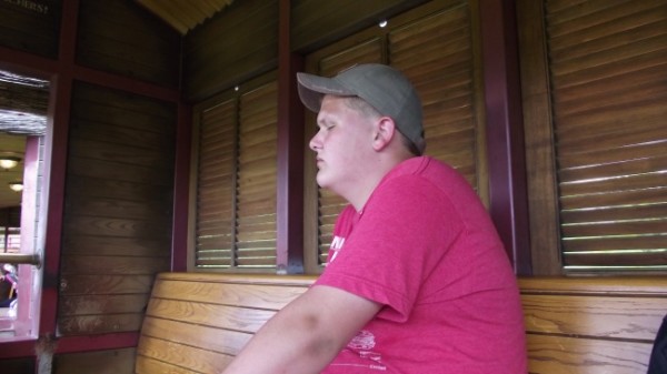 Animal Kingdom Train
