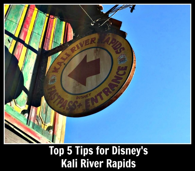 Top 5 Tips Kali River Rapids