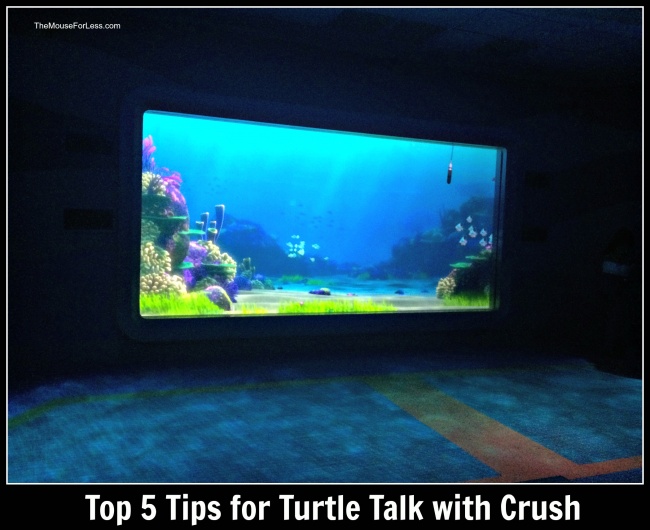 Top 5 Tips