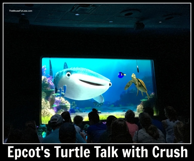 Turtle Talk with Crush