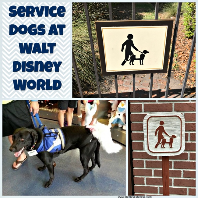 Service Dogs at the Walt Disney World Theme Parks