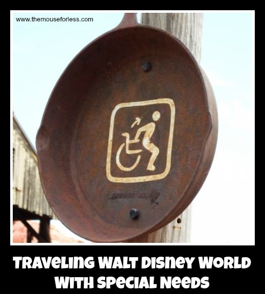 Traveling Walt Disney World with Special Needs