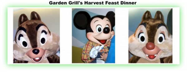 Walt Disney World Best Character Dinners